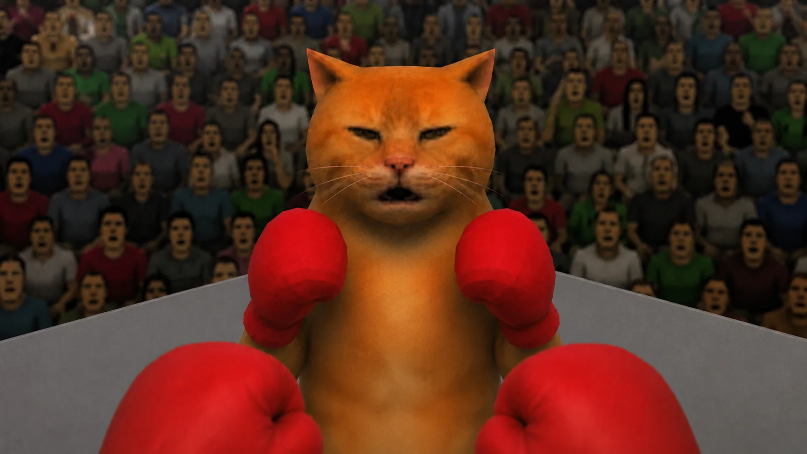 a boxing cat with his guard up, seen over your own gloves